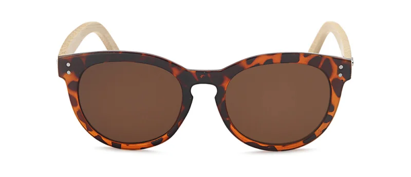 Bamboo Sunglasses Wholesale – Style BA6764